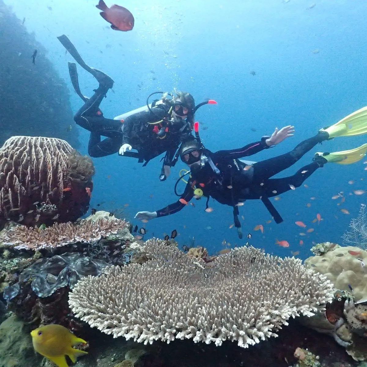 Manta Point Dive site